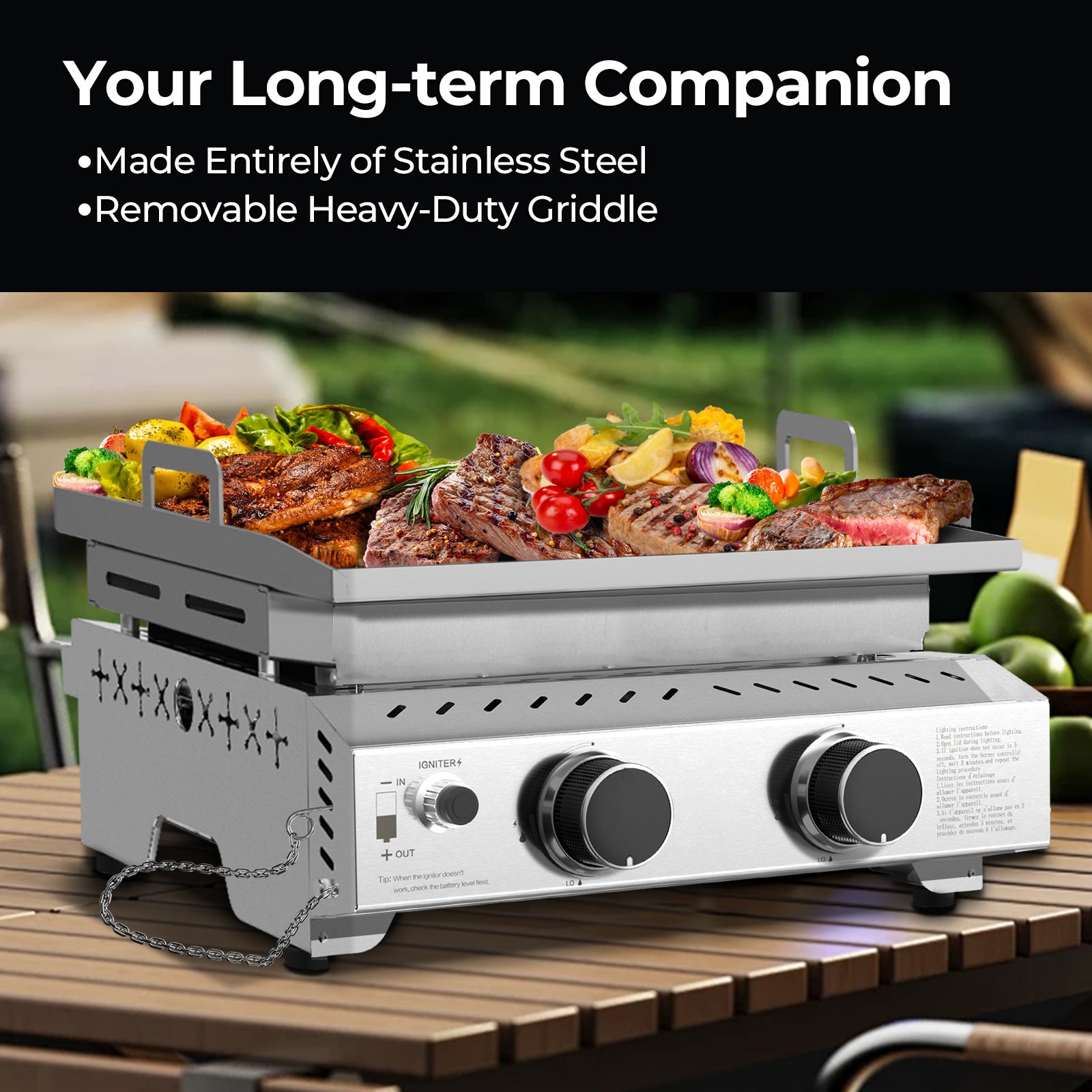 R.W.FLAME 2-Burner 16000 BTU Stainless Steel Tabletop Gas Gril Compact for LPG and Small Canister