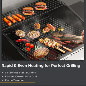 R.W.FLAME 3 & 4-Burner Propane Gas Grills with Side Burners, for Outdoor Cooking, BBQ, Patio, Camping R.W.FLAME