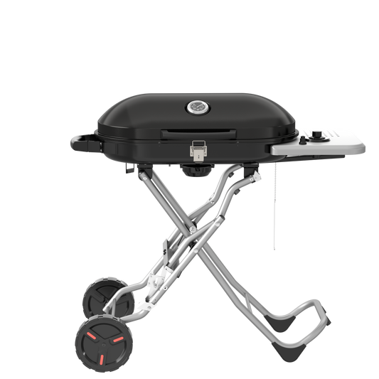 R.W.FLAME 15000 BTU Portable Propane Gas Grill R.W.FLAME